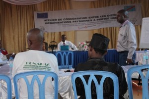 Concertation des représentations des structures paysannes à portée nationale à Kabinda center à Kinshasa/Infobascongo