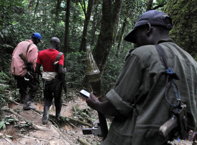 Sud-Kivu : les hommes en armes, principaux destructeurs des forêts