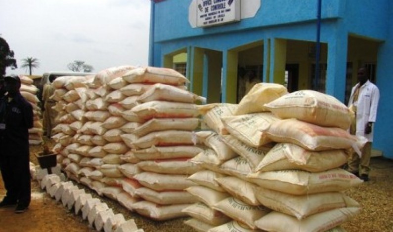 Lukala : L’Office congolais de contrôle détruit des sacs de maïs avariés