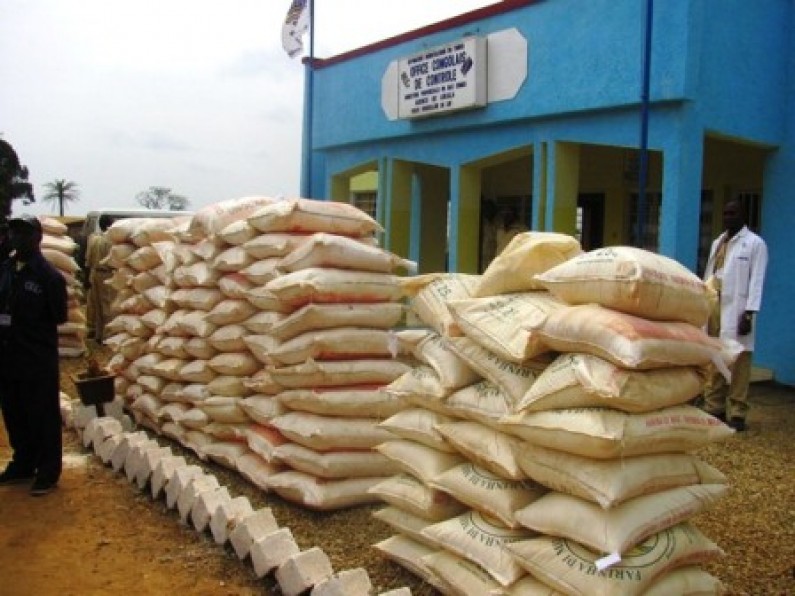 Lukala : L’Office congolais de contrôle détruit des sacs de maïs avariés