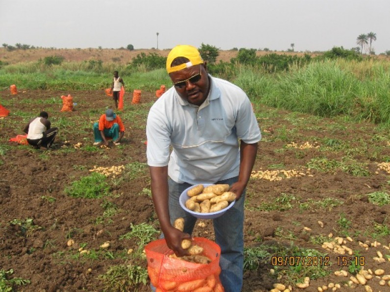 Mbanza-Ngungu : soutien salutaire aux cultivateurs de la pomme de terre