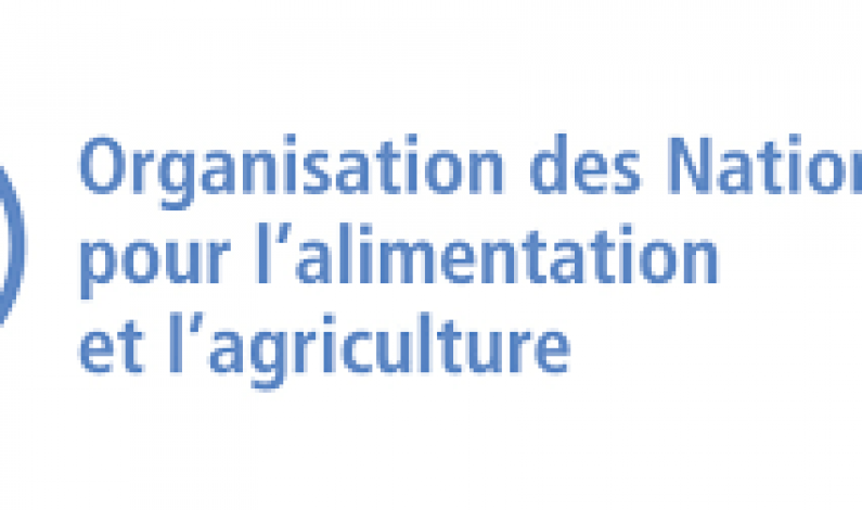 Organisation des Nations Unies pour l’alimentation et l’agriculture:Agent forestier (NFI et REDD +)