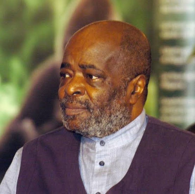 RDC:Yerodia Abdoulay Ndombasi le compagnon de lutte de Laurent-Désire Kabila est mort