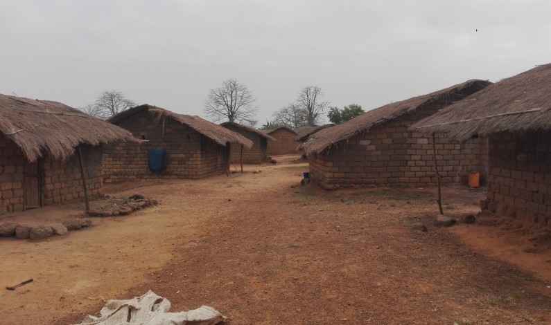 Vingt-quatre heures à Nkamuna, au Kongo central, localité du chanvre