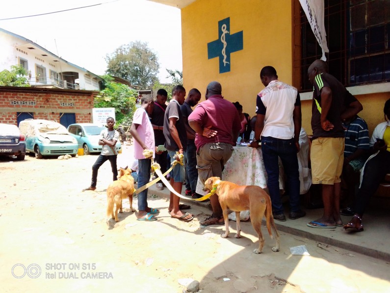 Kongo central : difficile atteinte de la couverture vaccinale contre la rage faute d’argent