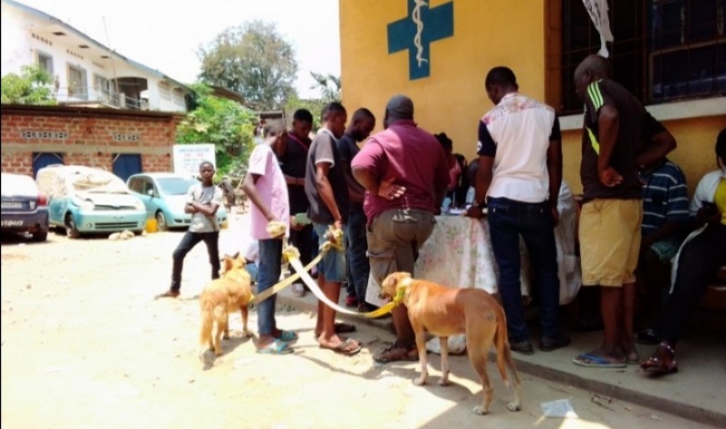 Au Kongo central, campagne de vaccination de masse des animaux de compagnie contre la rage dès le 28 septembre