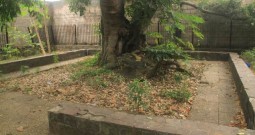 La tombe de Selembawu, le site qui donne le la du tourisme urbain, à Kinshasa
