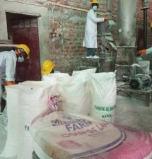 Deux prestataires congolais vont emblaver 2 000 ha de manioc pour la production de la farine panifiable grâce au CAPUIDC