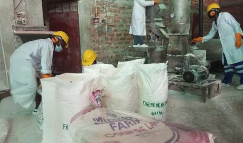 Deux prestataires congolais vont emblaver 2 000 ha de manioc pour la production de la farine panifiable grâce au CAPUIDC